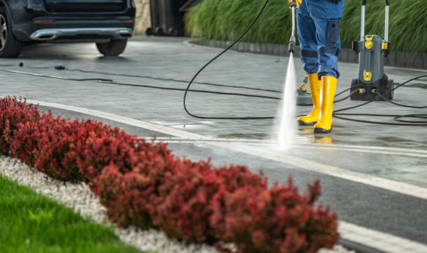 Best Pool Deck Cleaning  in Rosenhayn, NJ